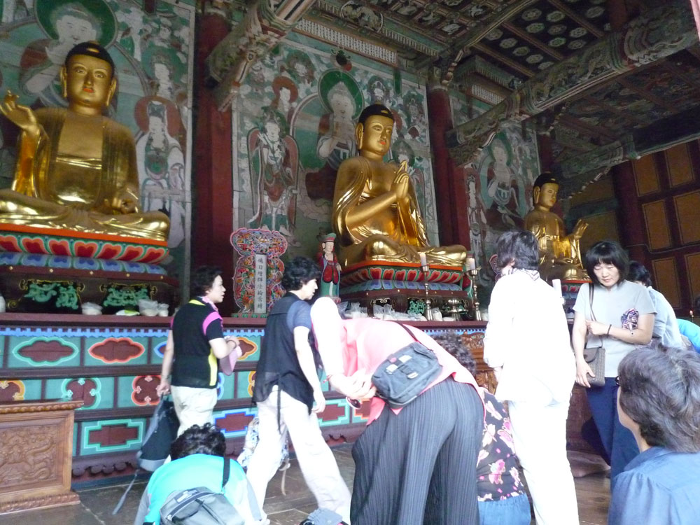 ����-�����-����� ��������