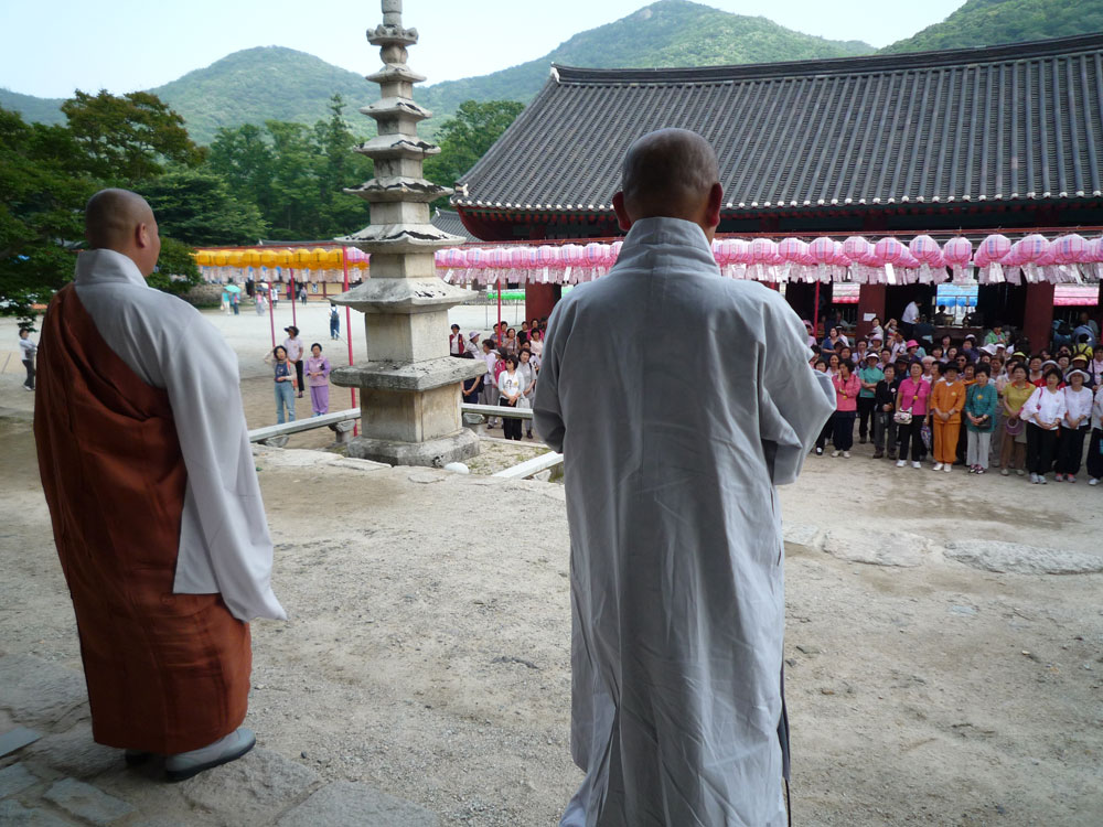 ����-�����-����� ��������