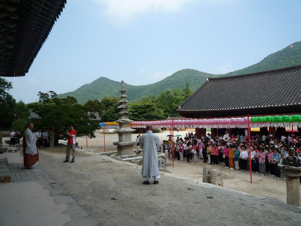 ����-�����-����� ��������