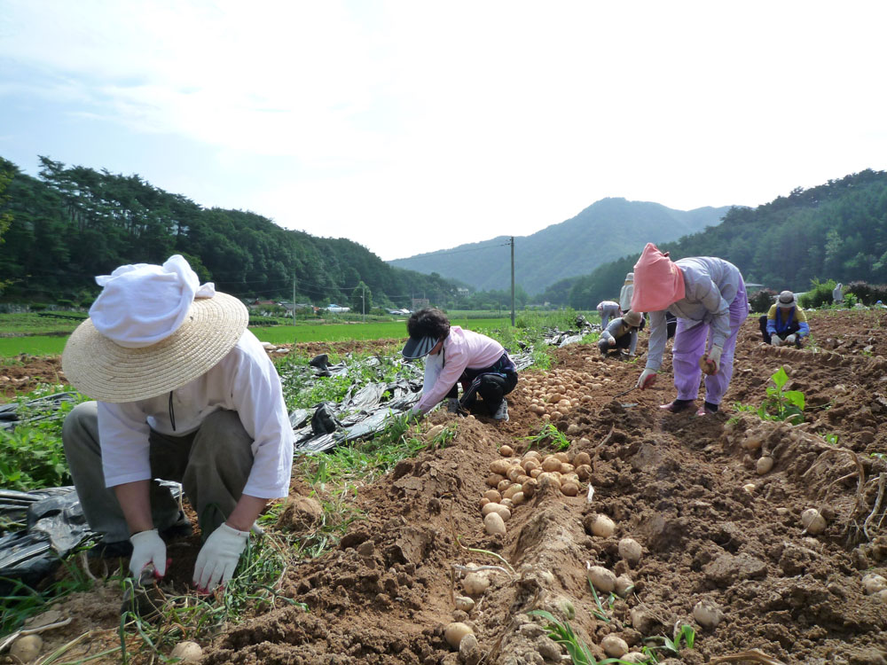 ���ڿ�º���2009