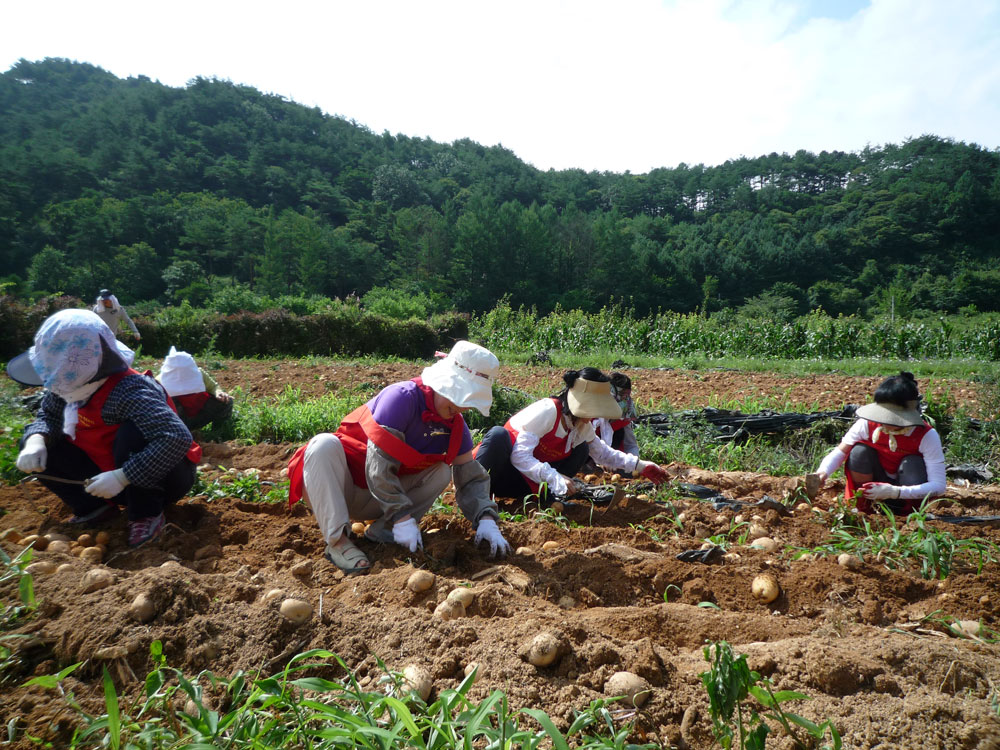 ���ڿ�º���2009