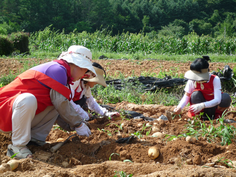 ���ڿ�º���2009