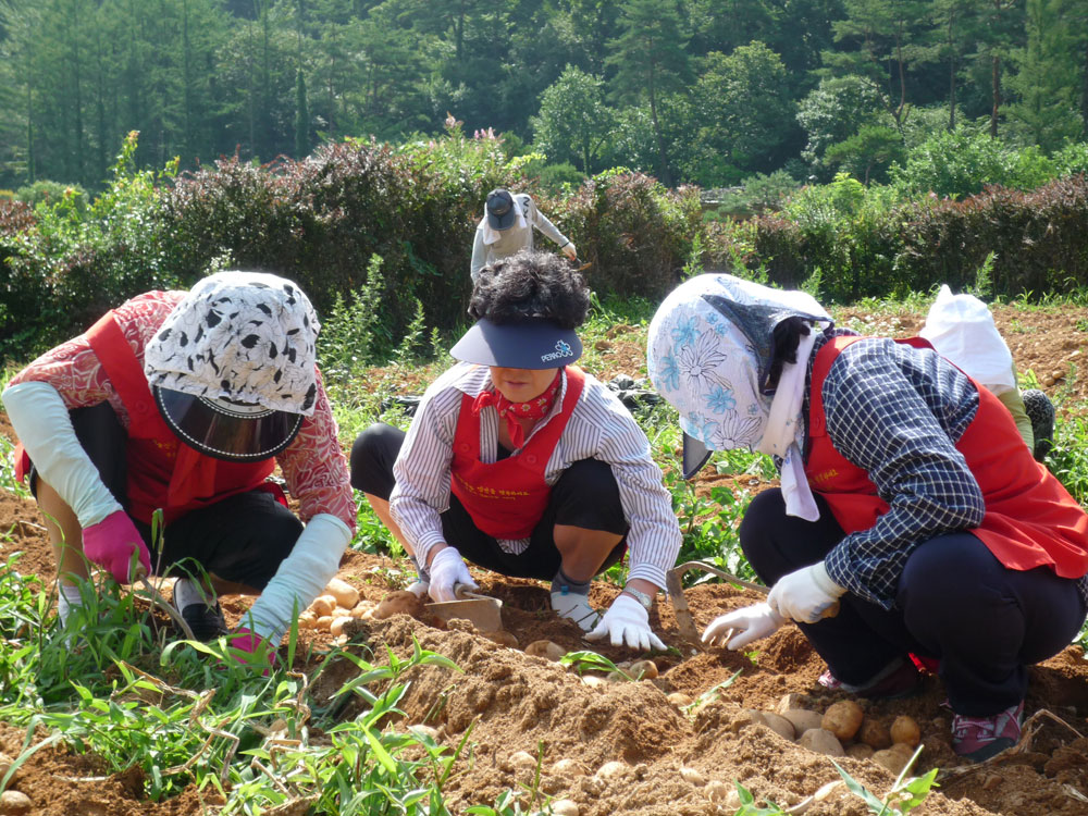 ���ڿ�º���2009