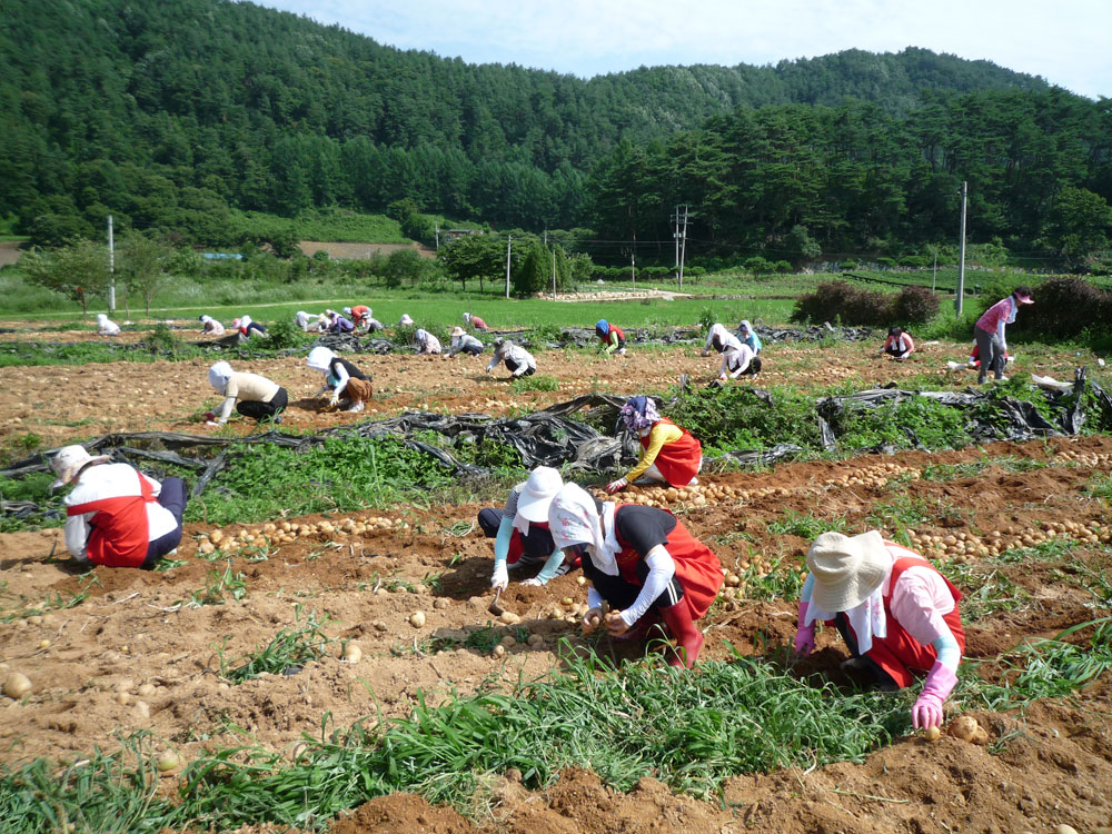 ���ڿ�º���2009