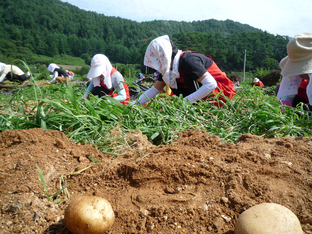 ���ڿ�º���2009