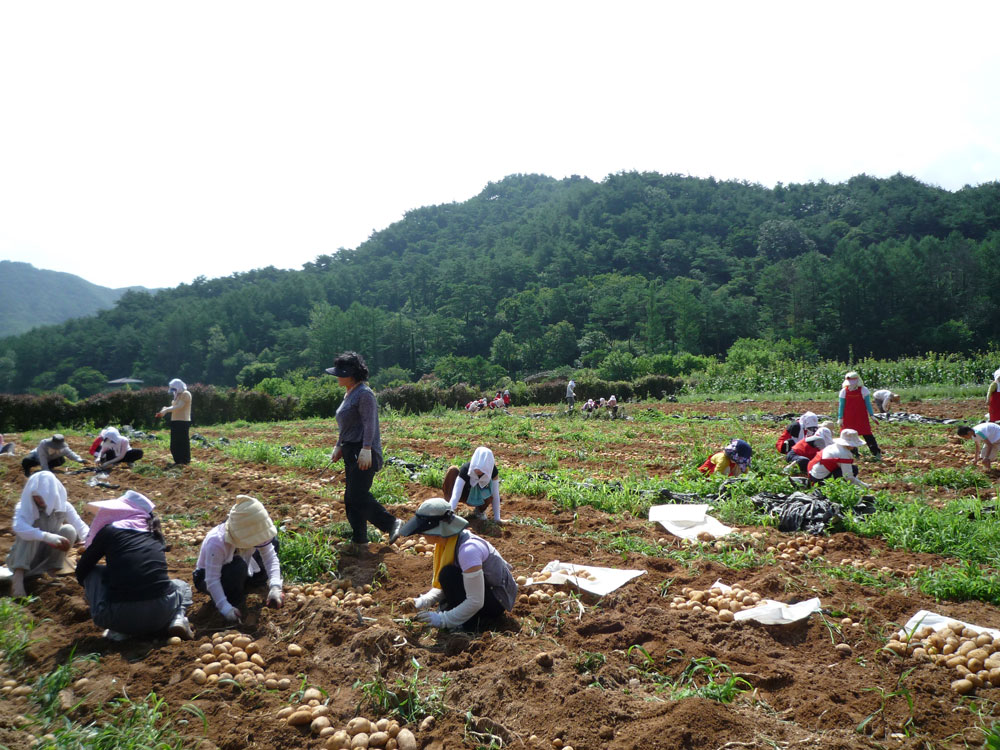 ���ڿ�º���2009