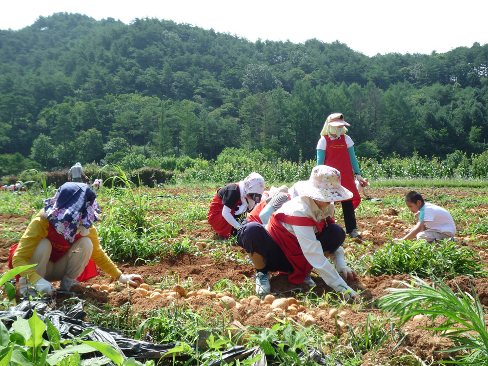 ���ڿ�º���2009