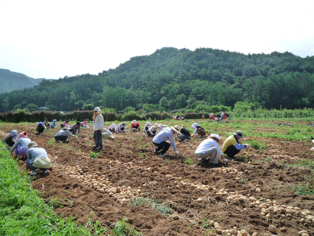 ���ڿ�º���2009