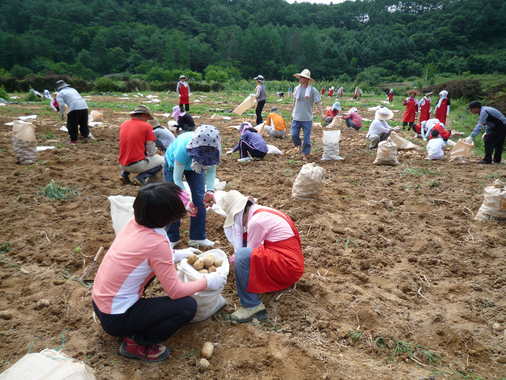 ���ڿ�º���2009