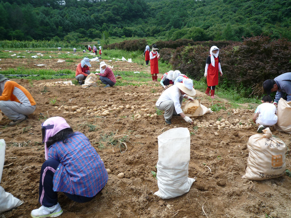 ���ڿ�º���2009