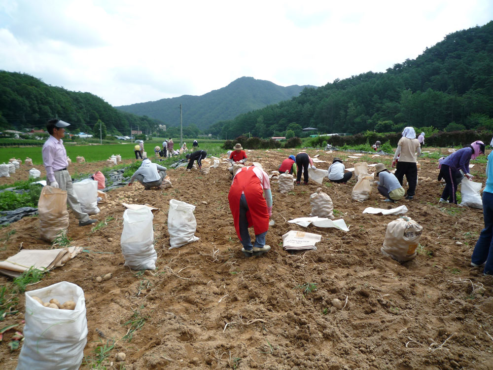 ���ڿ�º���2009