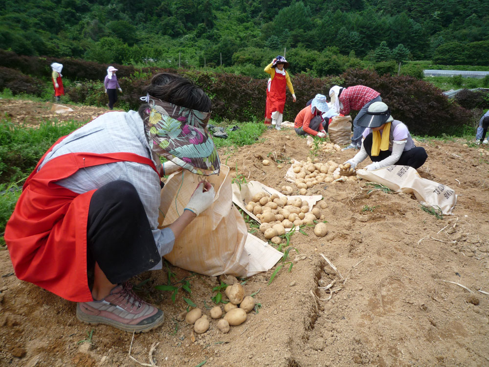 ���ڿ�º���2009