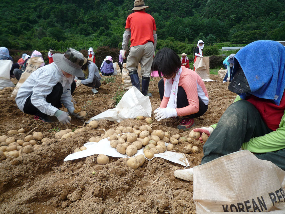 ���ڿ�º���2009