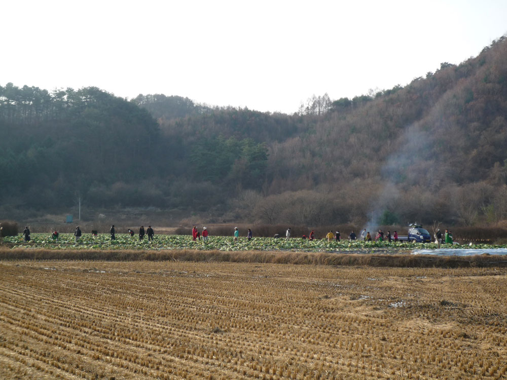 ���߿�º���2009