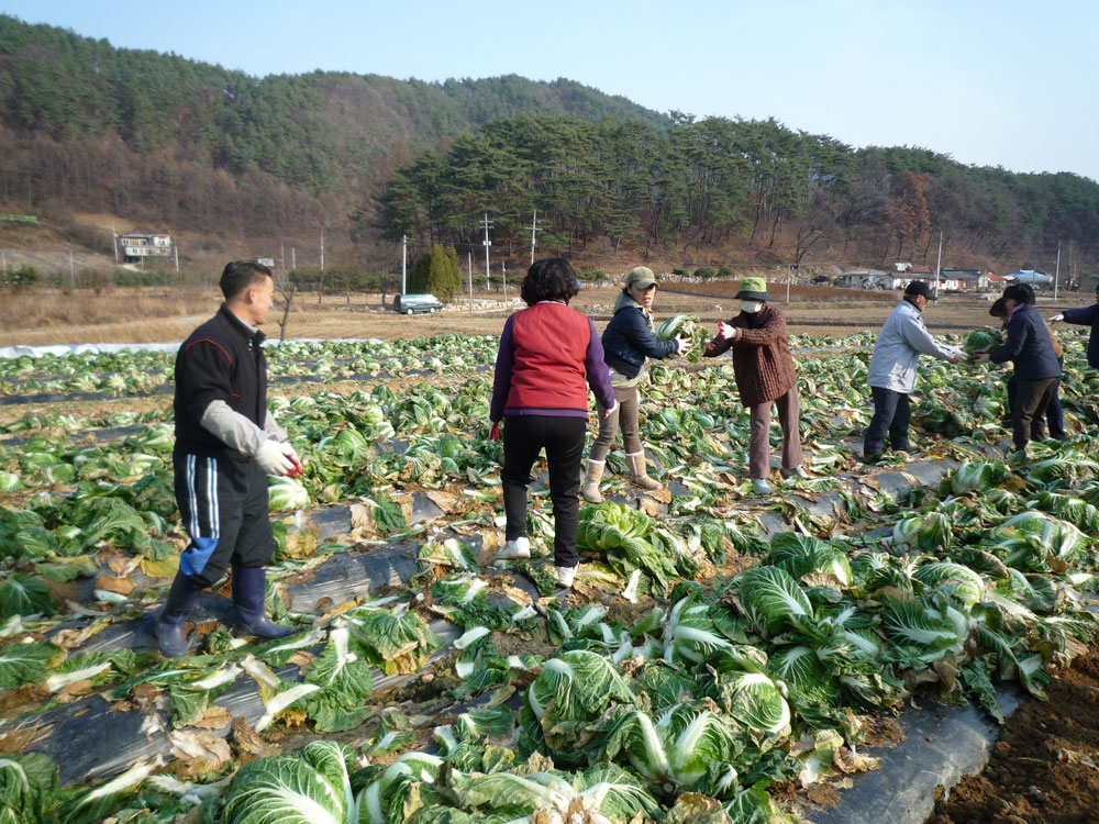 ���߿�º���2009