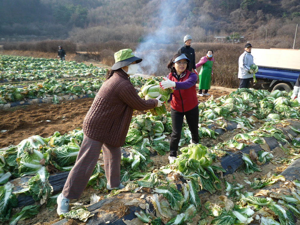 ���߿�º���2009