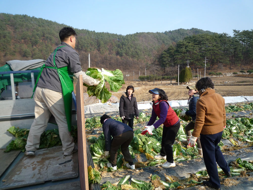 ���߿�º���2009