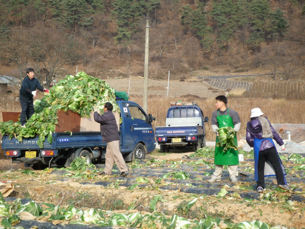 ���߿�º���2009