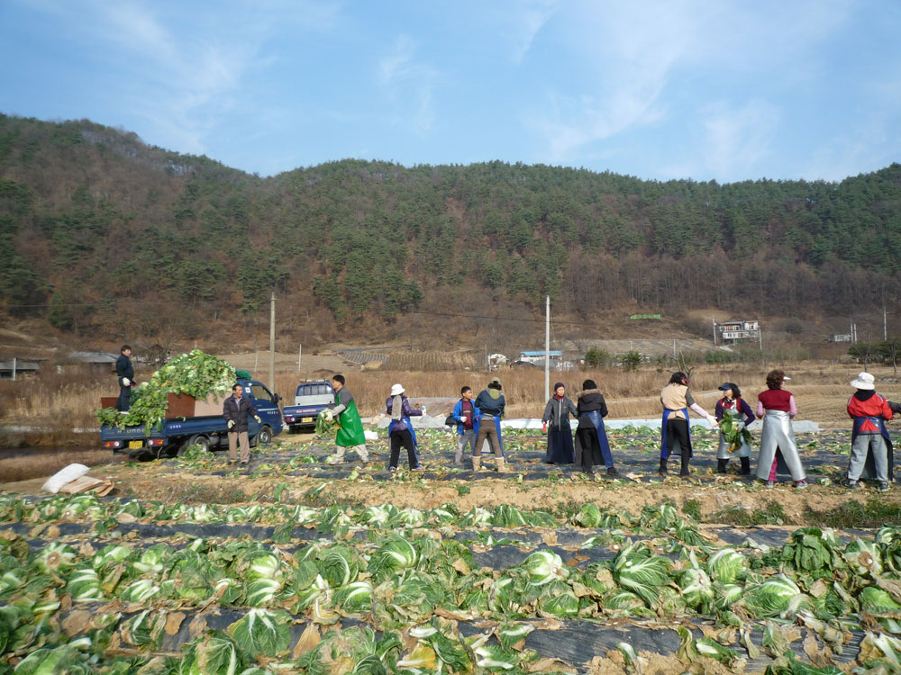 ���߿�º���2009