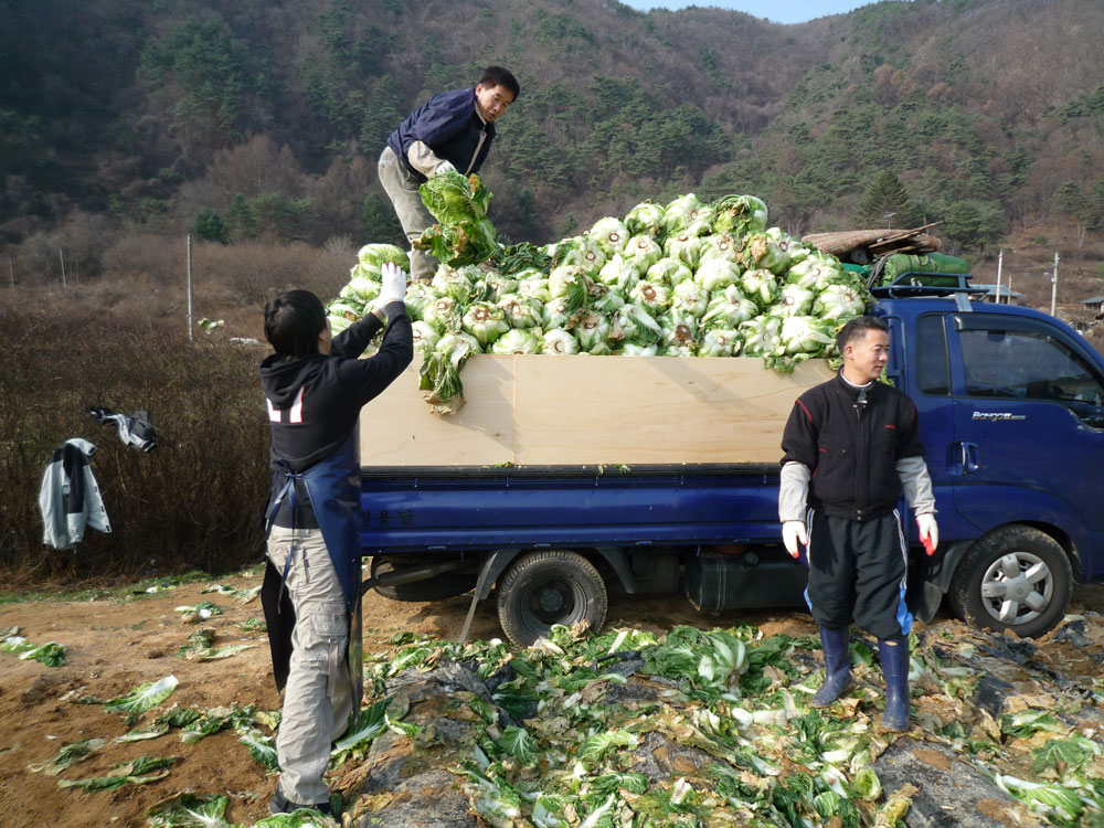 ���߿�º���2009