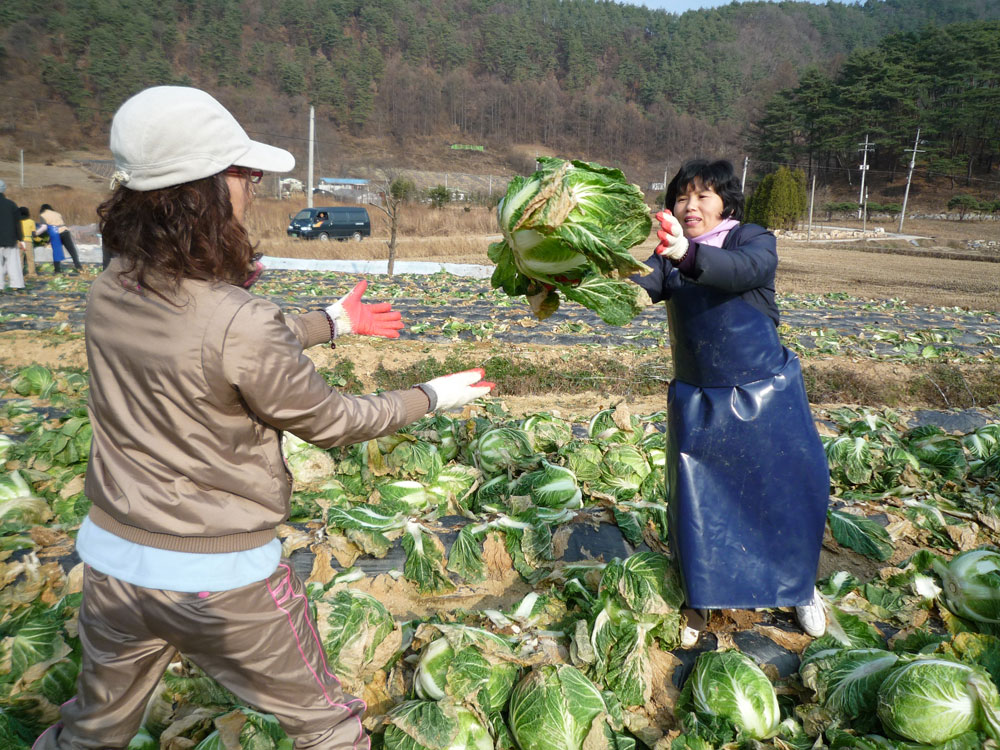 ���߿�º���2009