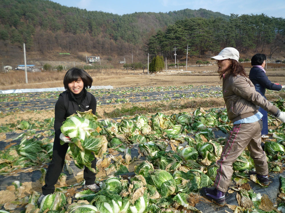 ���߿�º���2009