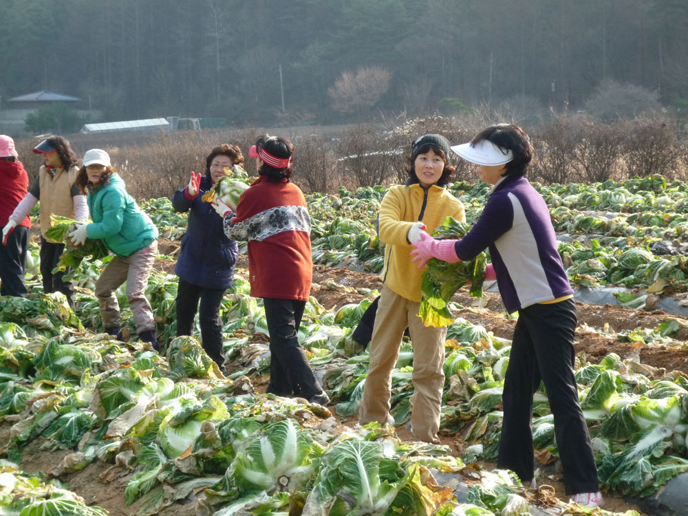 ���߿�º���2009