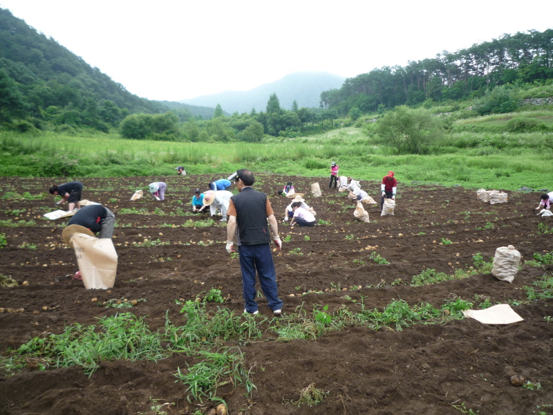 2010 ��õ���ں���