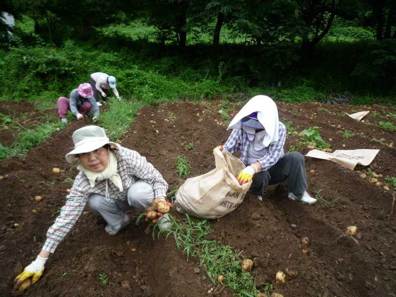 2010��������