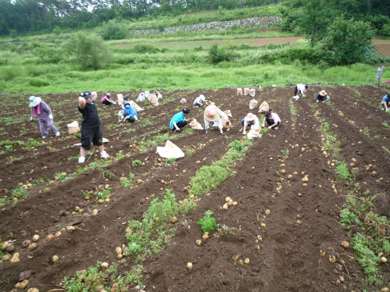 2010��������