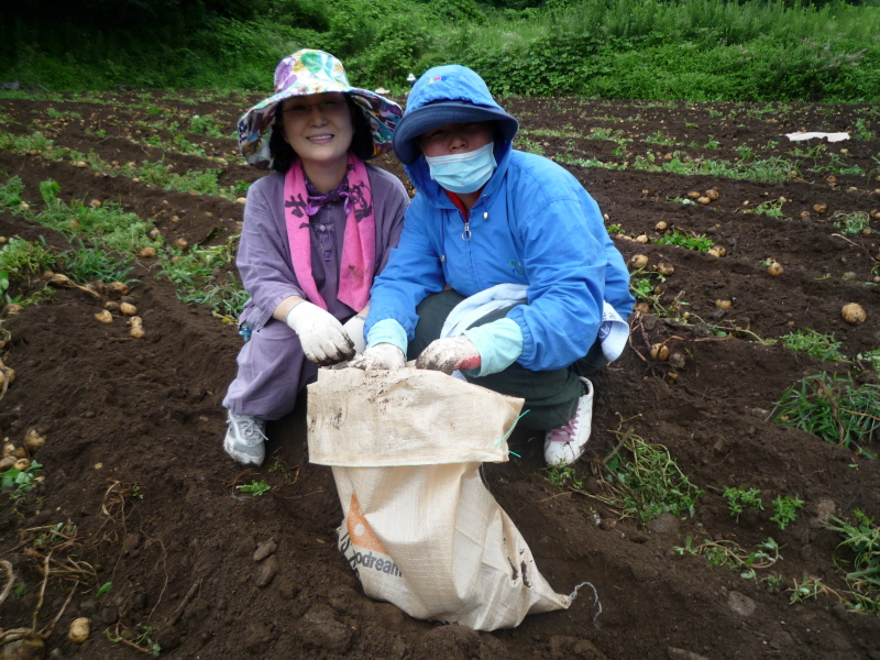 2010��������