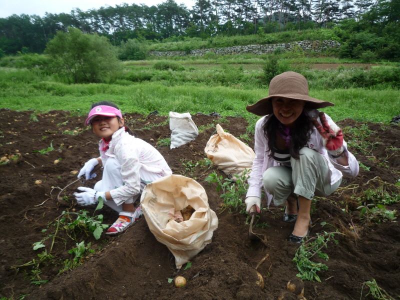 2010��������