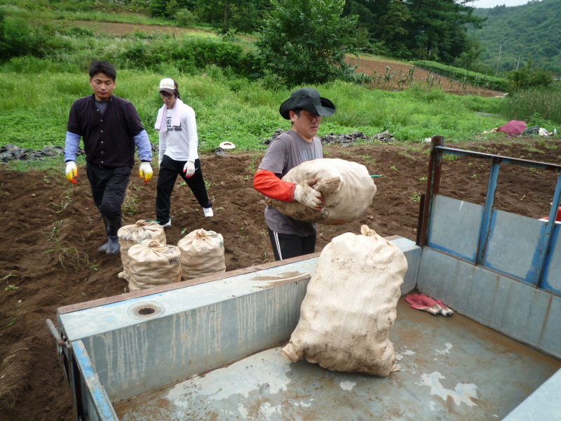 2010��������