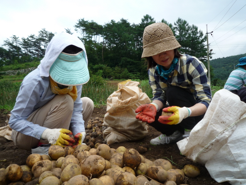 2010��������