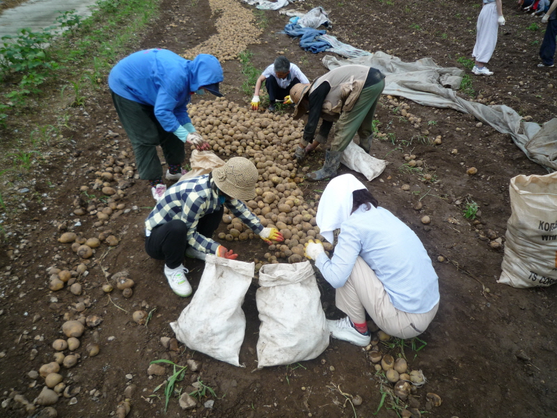 2010��������