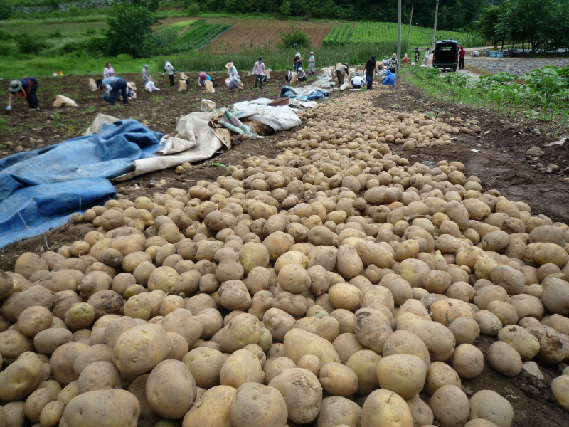 2010��������