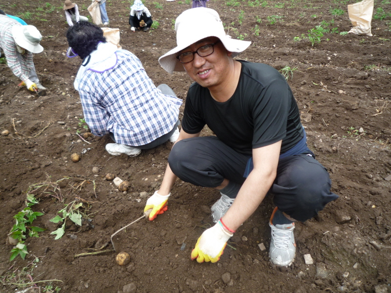 2010��������