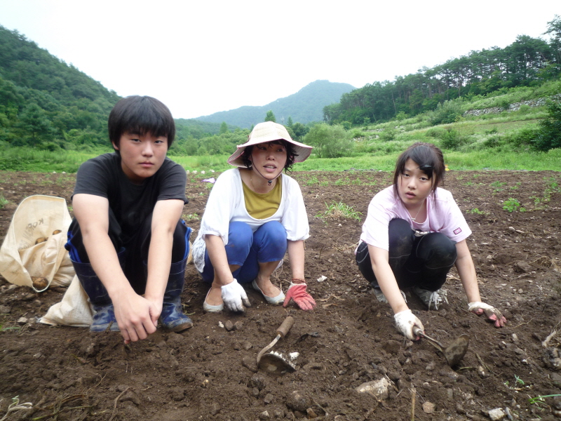 2010��������