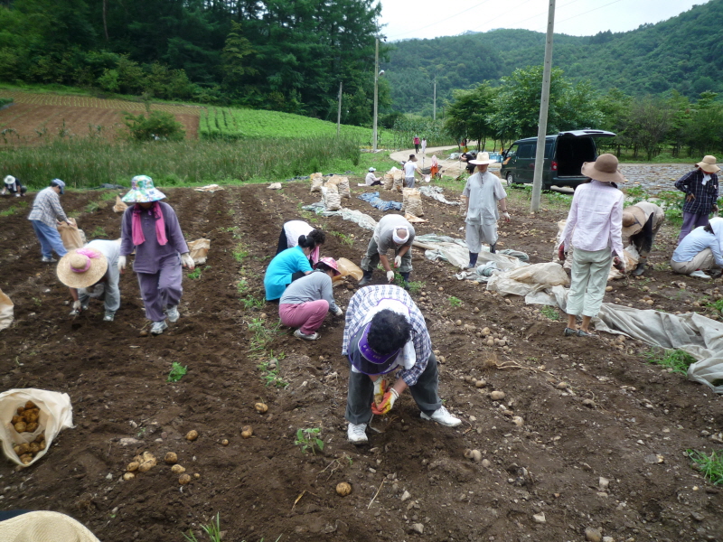 2010��������