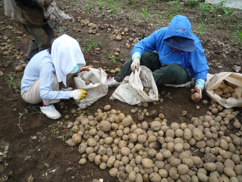 2010��������