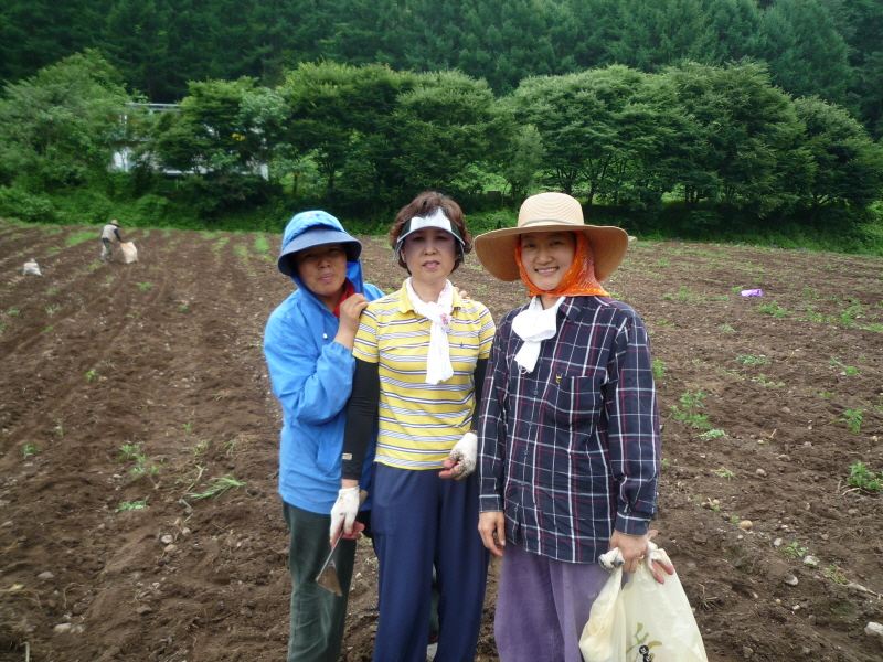 2010��������