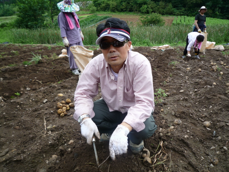 2010��������