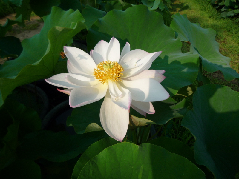 �뵵�� �� ����