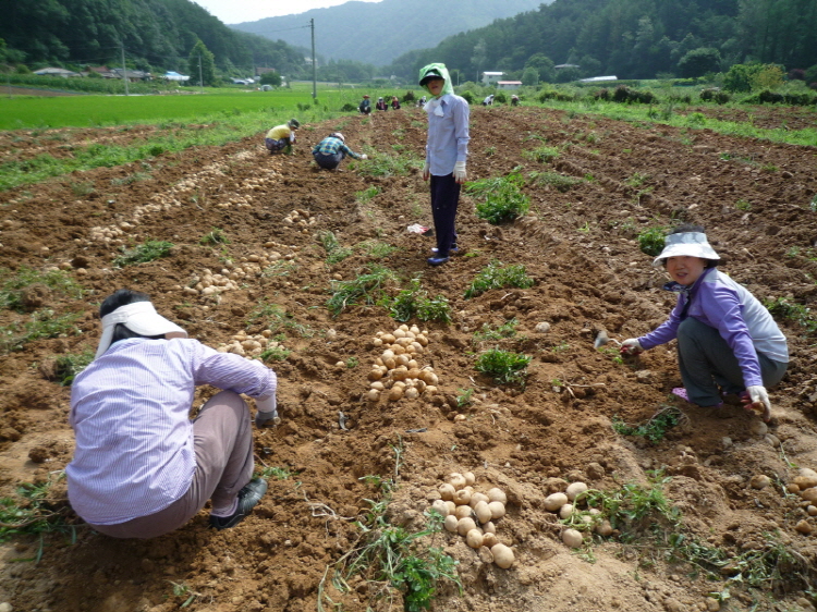 ���ڿ�º��� 2011