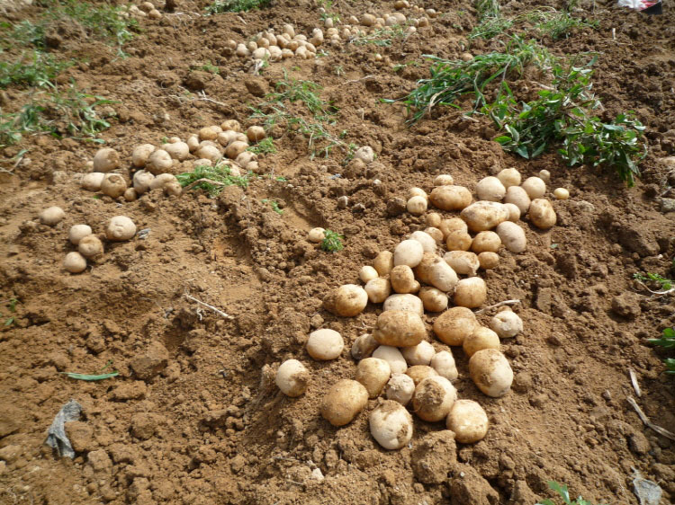 ���ڿ�º��� 2011