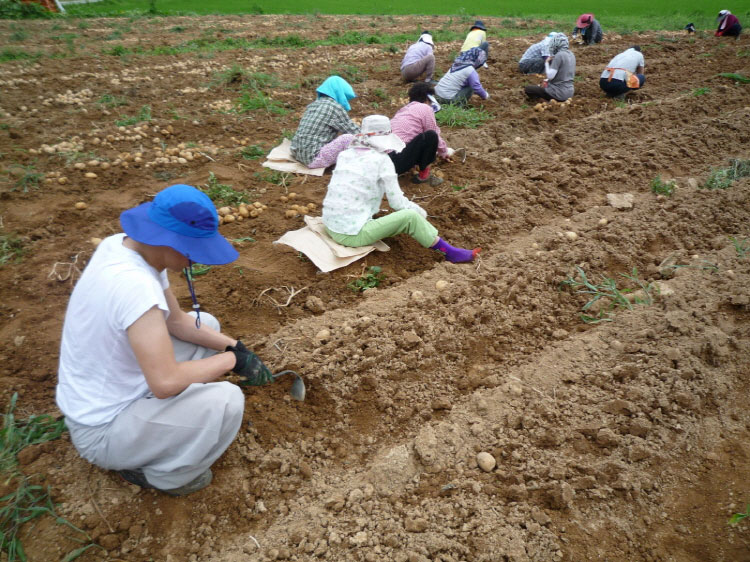 ���ڿ�º��� 2011