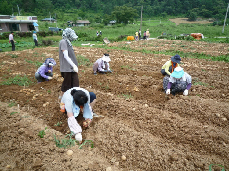 ���ڿ�º��� 2011