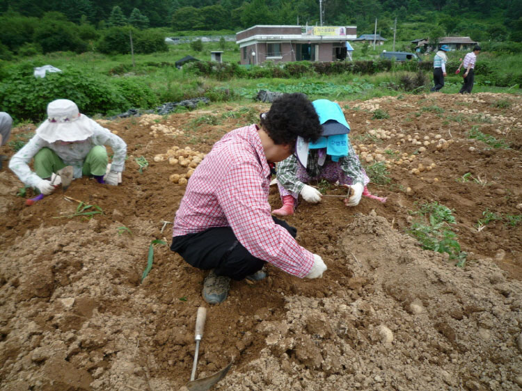 ���ڿ�º��� 2011