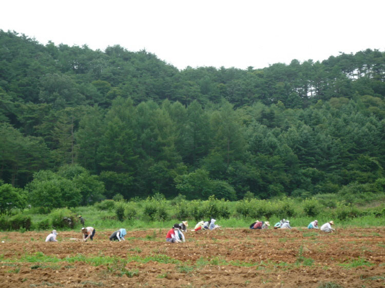 ���ڿ�º��� 2011