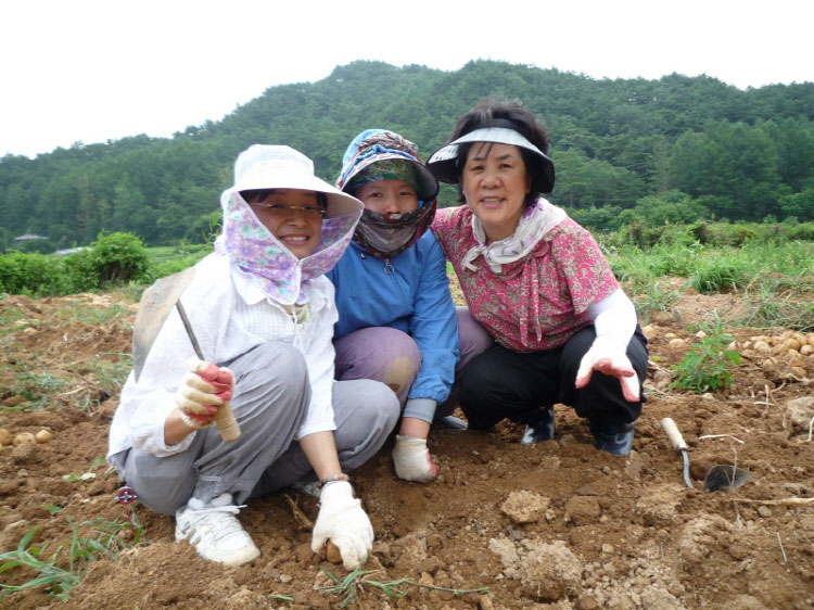 ���ڿ�º��� 2011